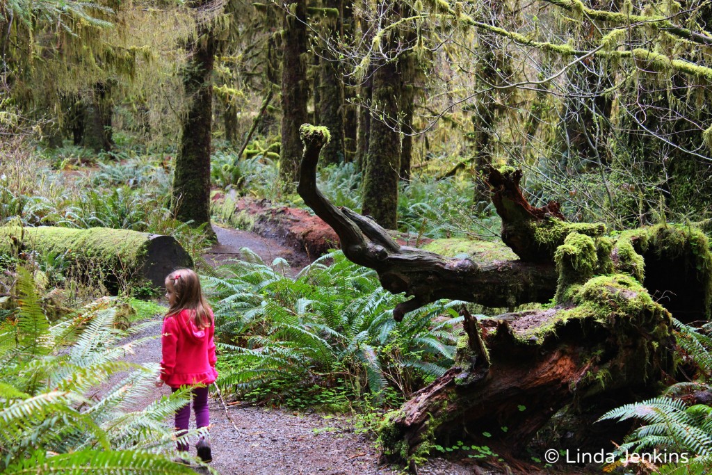 My daughter walking through the Hall of Mosses in the Hoh Rain Forest, Olympic National Park.